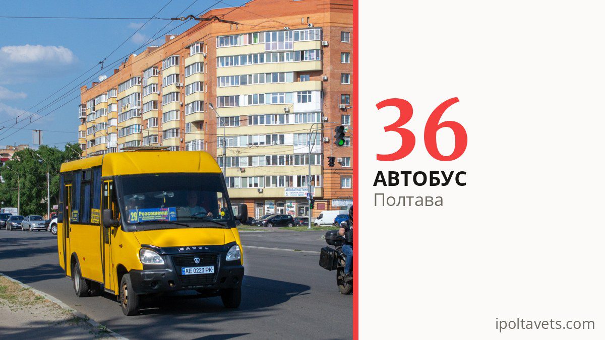 Автобус 36 у Полтаві
